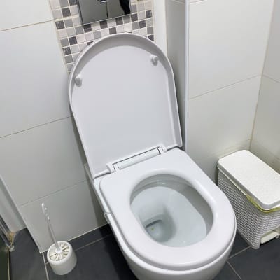 אסלה עם מברשת ניקוי ופח אשפה בחדר אמבטיה