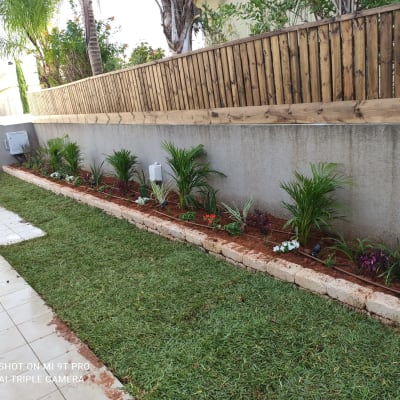 ערוגת פרחים עם דשא ירוק וצינורות השקיה