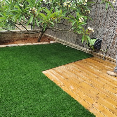 צינור מים מגולגל על קיר ליד דשא ועץ