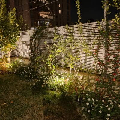 גינה מוארת בלילה עם תאורה חשמלית