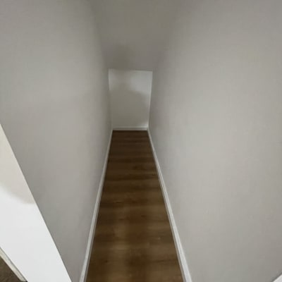 תמונה אינה מציגה עבודה בתחום