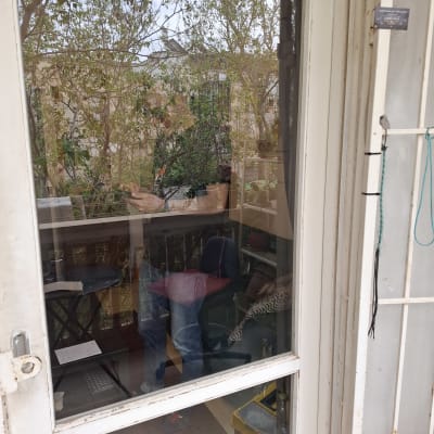 דלת זכוכית עם השתקפות של עצים ורהיטים