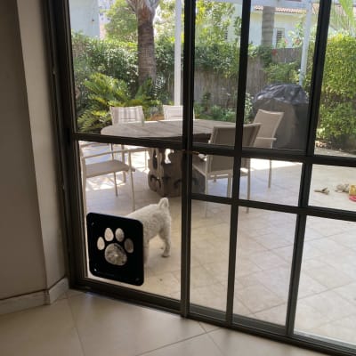 דלת זכוכית עם פתח לכלב בחצר