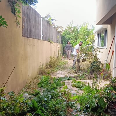 אנשים גוזמים ענפים בגינה עם עלים על הקרקע