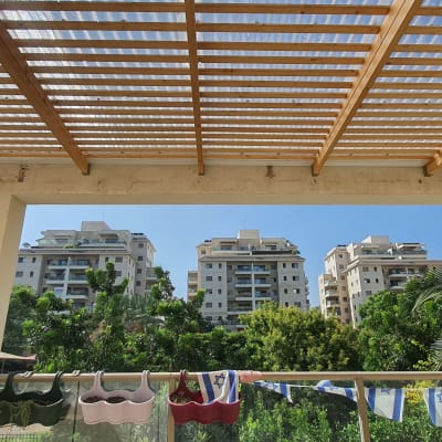 עציצים תלויים על מעקה עם דגלי ישראל