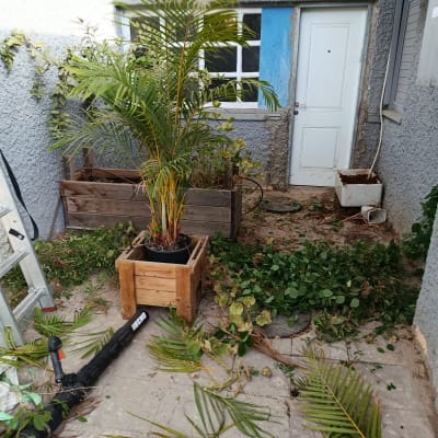 עבודת גינון עם צמחים וכלים בחצר