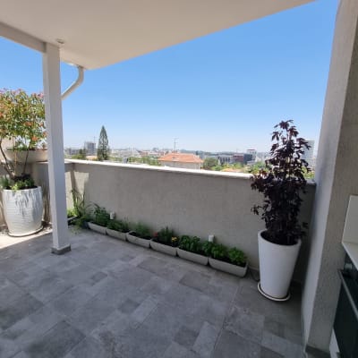 עציצים עם צמחים על מרפסת, כולל עציץ גדול ועציצים קטנים.