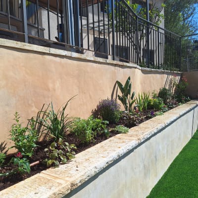 ערוגת פרחים עם צינור השקיה וטוף