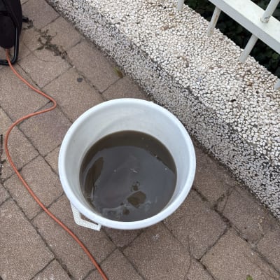 דלי עם מים מלוכלכים על רצפה מרוצפת