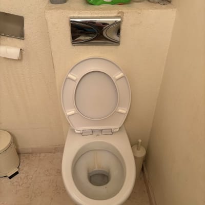 אסלה עם מברשת ניקוי בצד