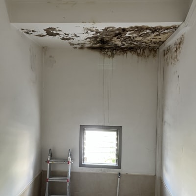 תקרה עם עובש וסולם בחדר שיפוצים