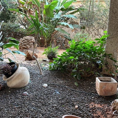 עציצים ריקים ואדמה בגינה עם צמחים ירוקים