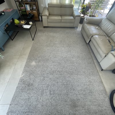 שני ספות עור בהירות ושטיח אפור בחדר מגורים