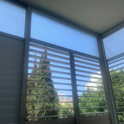 חלונות עם תריסים ונוף עצים בחוץ