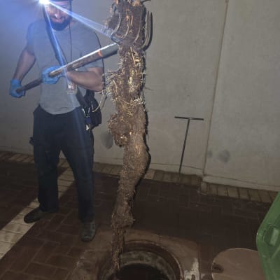 אדם עם פנס ראש מוציא שורשים מביוב