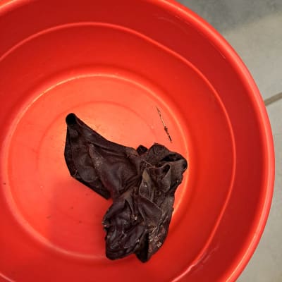 דלי אדום עם בד כהה בתוכו