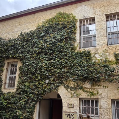 קיר אבן עם צמח מטפס על חזית הבניין