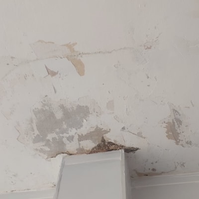 קיר עם קילופי צבע ונזקי רטיבות