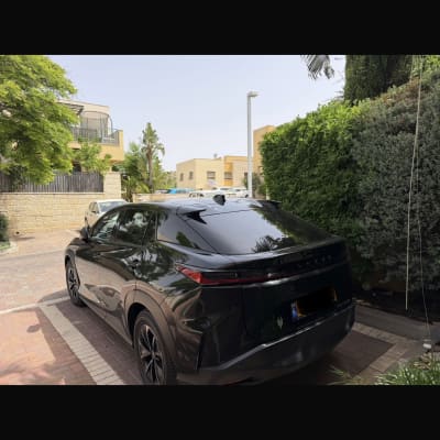 רכב שחור חונה ליד גדר ושיחים