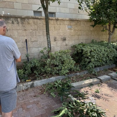 אדם בגינה עם עלים גזומים על הקרקע