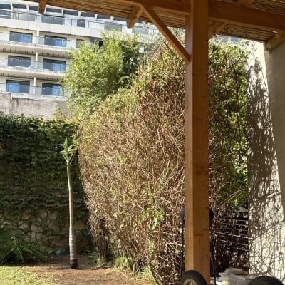 שיחים וגדר חיה בגינה עם דשא ועץ צעיר