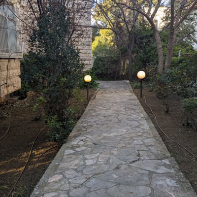 שביל אבן עם צמחייה ועצים מסביב