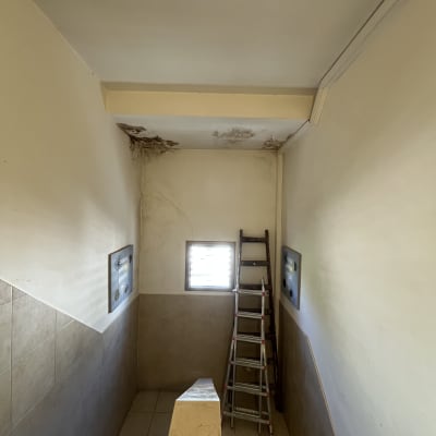 סולם ליד קיר עם כתמי רטיבות בתקרה