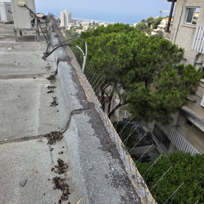 דוקרנים על גג למניעת יונים