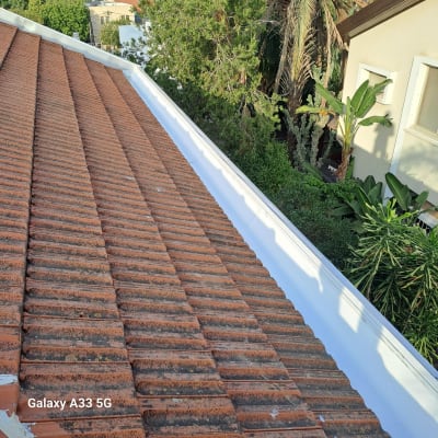 גג רעפים חום עם מרזב לבן וצמחייה מסביב