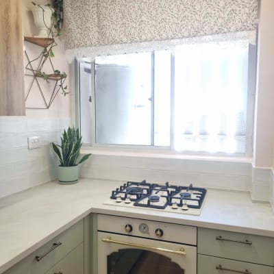 מטבח עם כיריים ותנור, צמחי נוי ועיצוב מודרני.