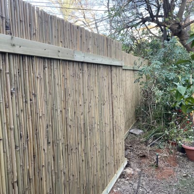 גדר במבוק עם עציצים וצמחים בגינה