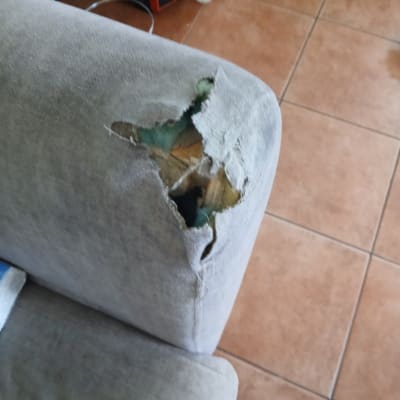 ספה עם קרע גדול בבד הריפוד