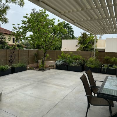 עציצים עם צמחים ירוקים על רצפת בטון בגינה