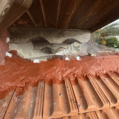 רשת מתכת ותיקון טיח על גג רעפים