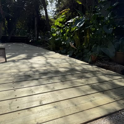 דק עץ בגינה עם צמחים מסביב