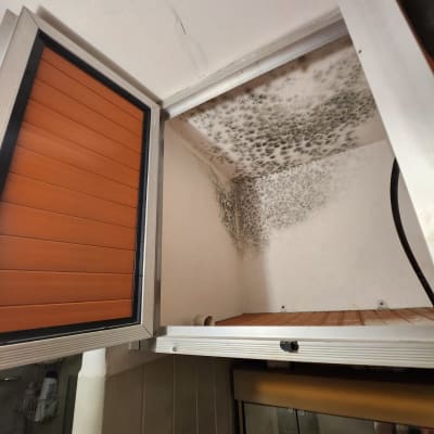 עובש שחור על קיר פנימי בארון פתוח