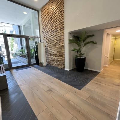 קיר עץ דקורטיבי עם צמח בעציץ גדול