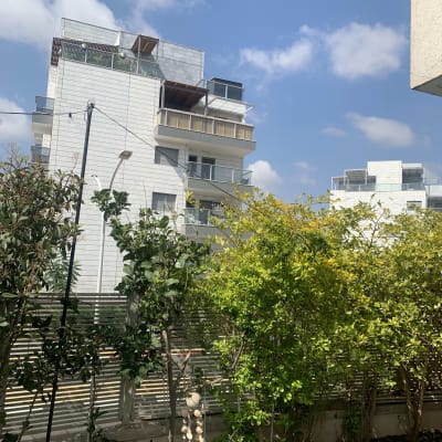 שיחים ירוקים ופרחים בגינה מול בניין מגורים