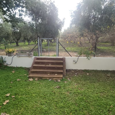 גינה עם דשא, מדרגות עץ ועצים ברקע