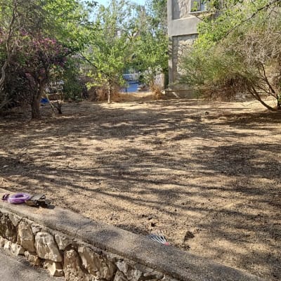 שטח גינה עם עצים ושיחים, בקבוקי מים וכלי גינון על הקיר