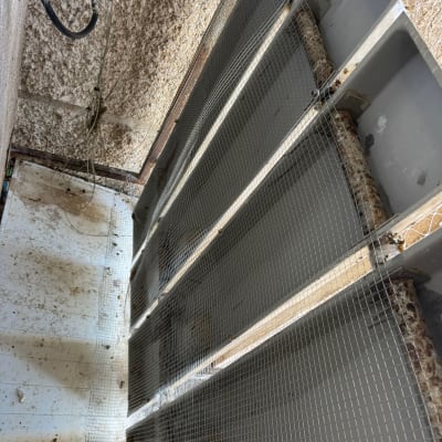 רשת מתכת למניעת כניסת יונים במבנה