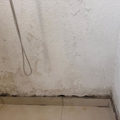 קיר עם סימני רטיבות והתקלפות צבע