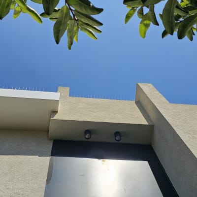 דוקרנים על גג למניעת יונים