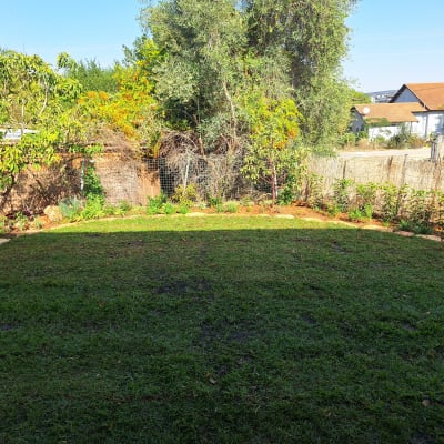 גינה מטופחת עם דשא ועצים מסביב