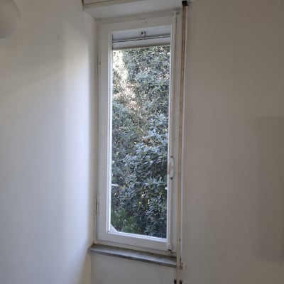 חלון זכוכית עם נוף של עצים מבחוץ