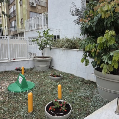 עציצים עם פרחים ודשא בחצר בניין מגורים