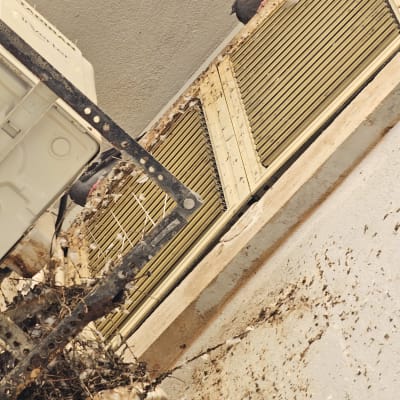 יונים על מזגן עם לכלוך וענפים