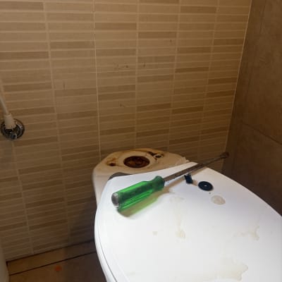 אסלה עם מברג ירוק על המכסה בחדר אמבטיה