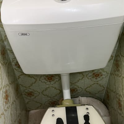 ניאגרה לבנה עם כפתור הדחה עגול