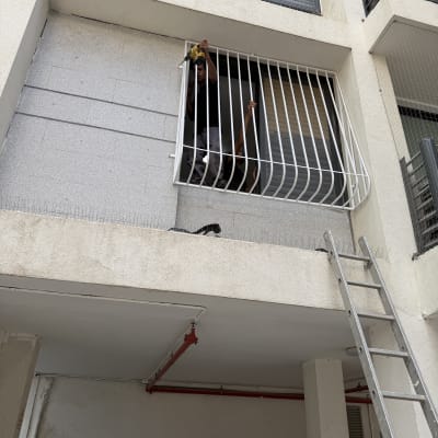אדם מתקין סורגים על חלון בניין עם סולם